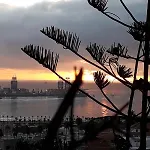 An With An Ocean View